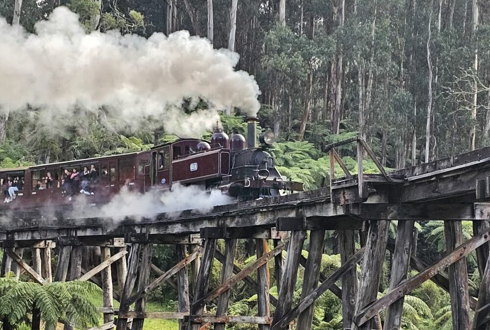 Puffing Billy and the Dandenong Ranges