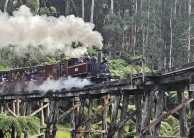 Puffing Billy and the Dandenong Ranges